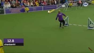 jojo fans when unsucked cock😎