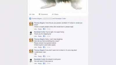 Why did I laugh at this 