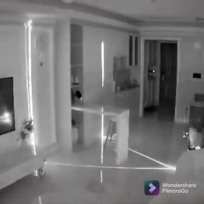 LazerKat, Conquerer of the floors, Wielder of the Roomba