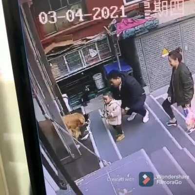 Could you bring the cat inside, he's blocking the front door