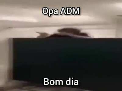 Bom dia adm