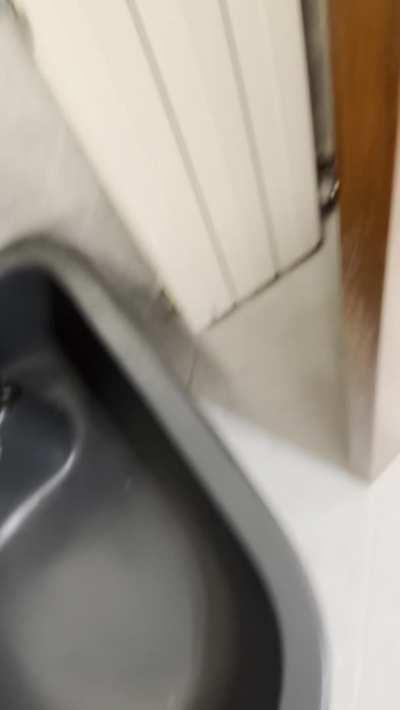 piss so hard when I am desperate 🐳