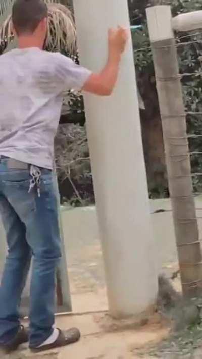 Hey you, come back here.