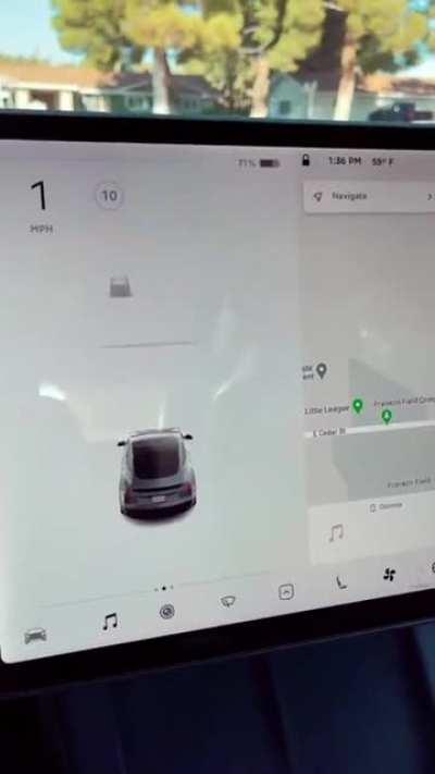 Tesla collision avoidance detecting invisible man at cemetery.