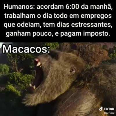 True (possivelmente que seja repost mas fds)