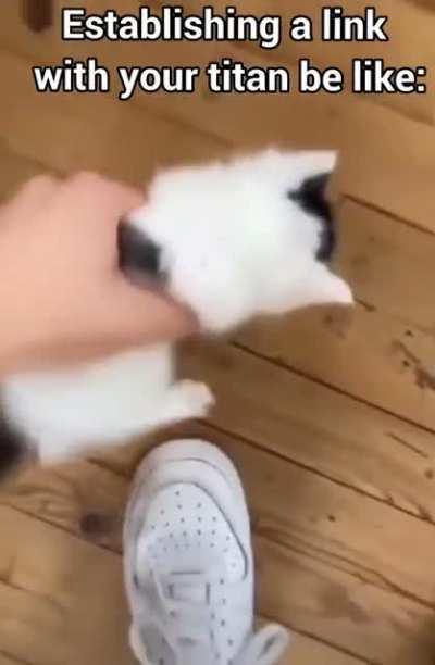 Best friends forever