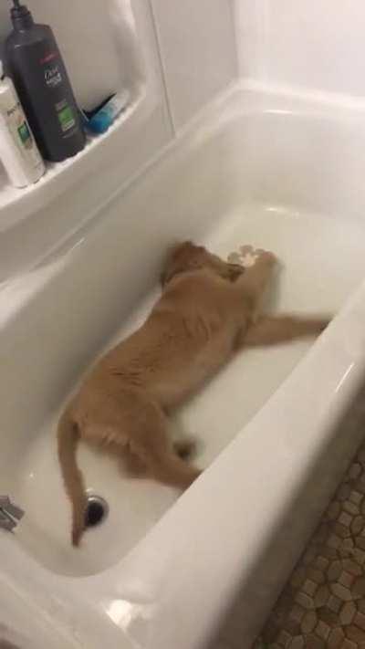 Two days after going to a lake