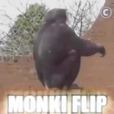 Hmm... Monke