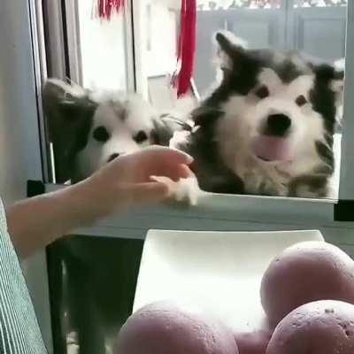 Sticky buns for everyone