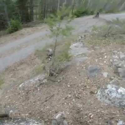 Just saw this crash in my feed, crazy