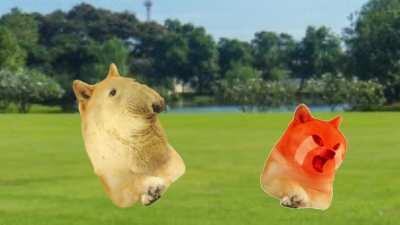 Le Popular Tik Tok Song Has Arrived