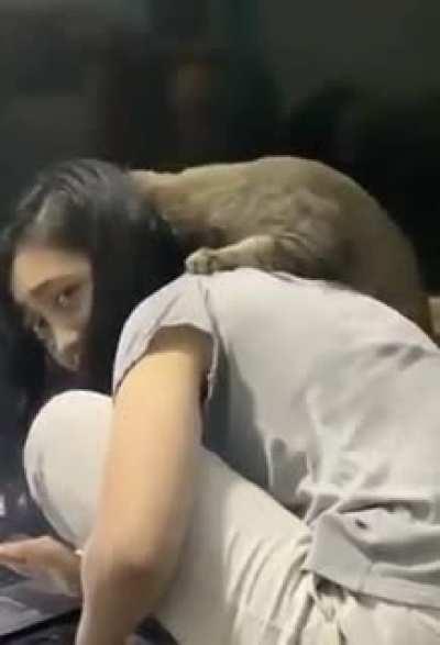 Please save me from this CAT!!