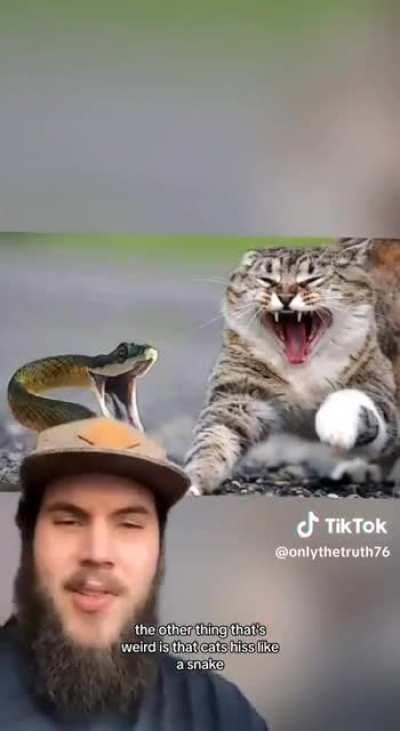 Things that make you Go hmmm