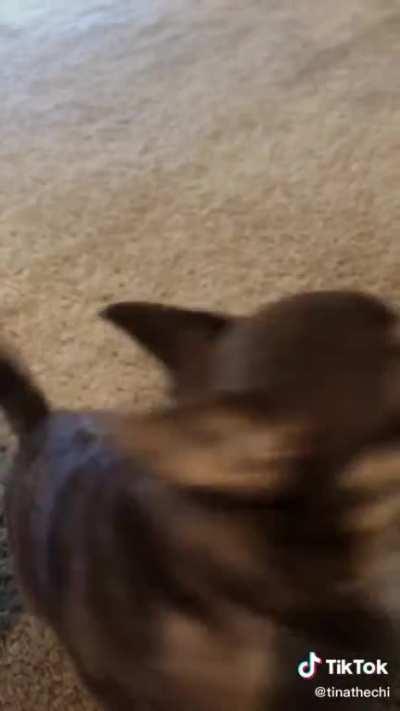 You know, I don’t usually get political, but I agree with him 100%