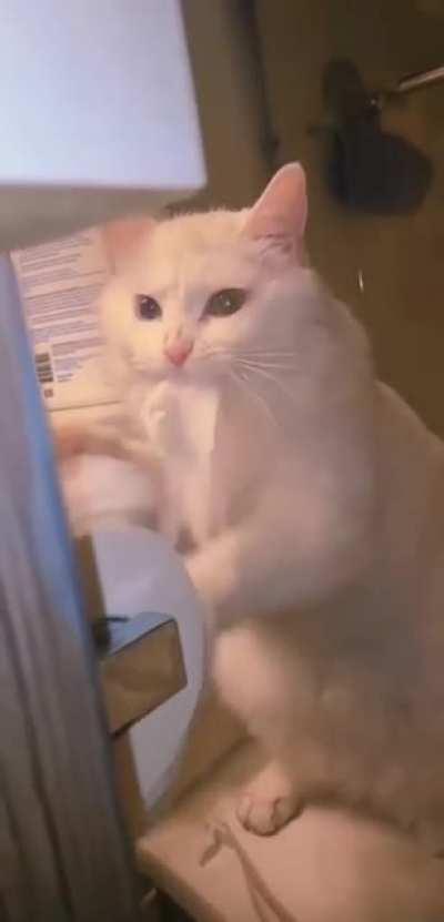 Милый шалун