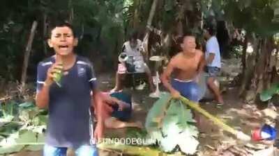 Well at least the ending was strangely wholesome