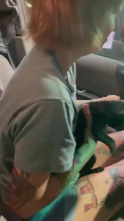 This lady just found a strayed cat , and she's taking her home. This is so precious !