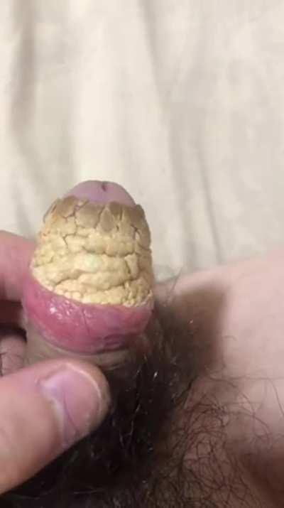 it's my cake day! 🥳🙌🏼