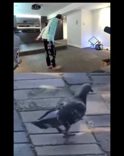 (First post :) Xqc’s moves be like