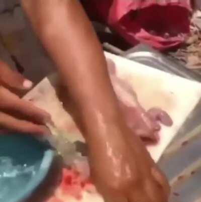 Oh look, it's twitching.