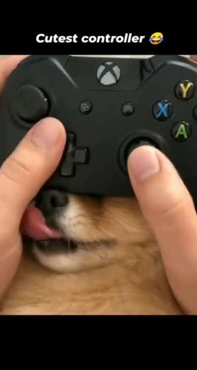 If this the price to get boops, then this the price I shall pay