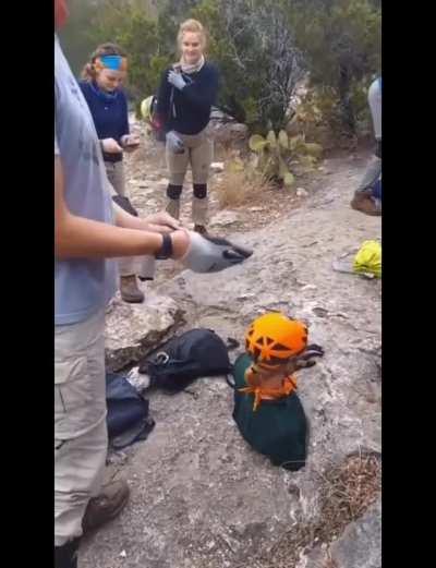 Down the rabbit hole cave in Carta Valley, Texas