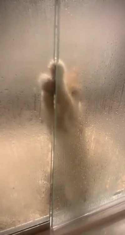 How DARE you disturb MY shower?!