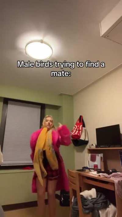 Yeah you fucking love this shit