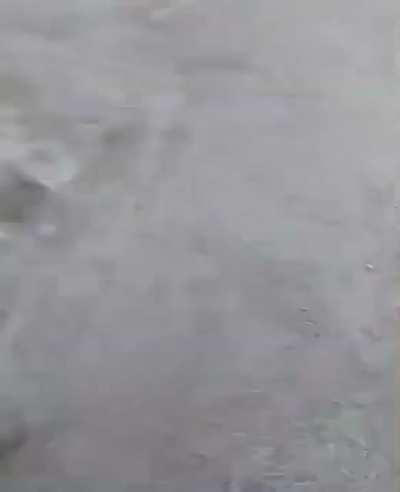 Amouranth fap tribute -  