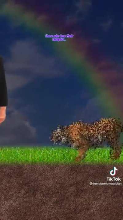 Hey, you! You need to watch this