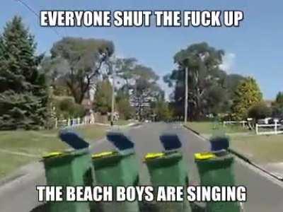 Beach boys bad 😤😤😤 (side note can someone make a new flair called Vegetable Posting or something)