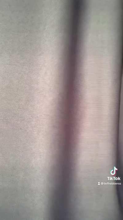 I have an idea how we can have fun