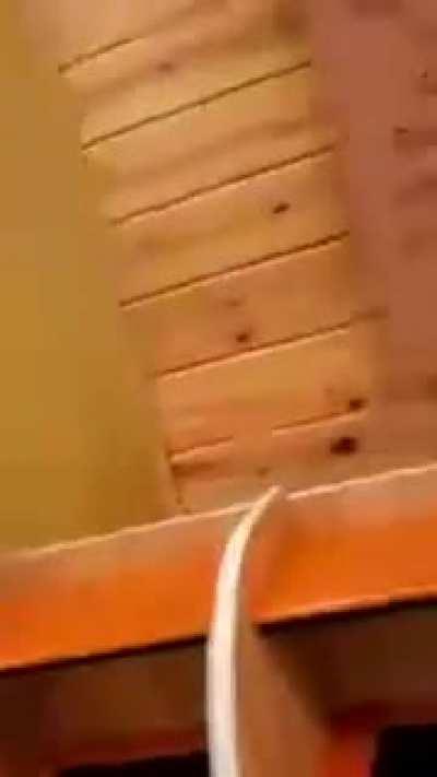 Man was just trying to be polite