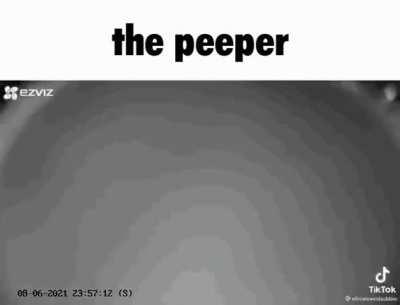 the peeper