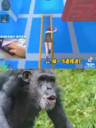 Esse vídeo fica melhor a cada segundo