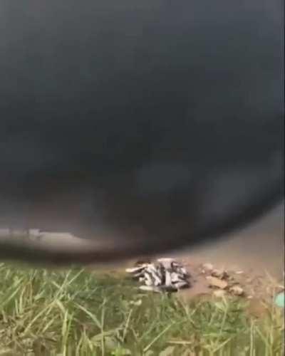 Polarization effect happens