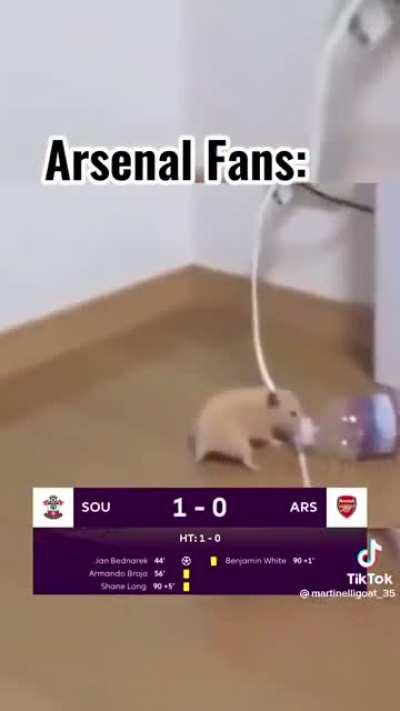 Hope this gives you guys a little joy. In this bleak reality