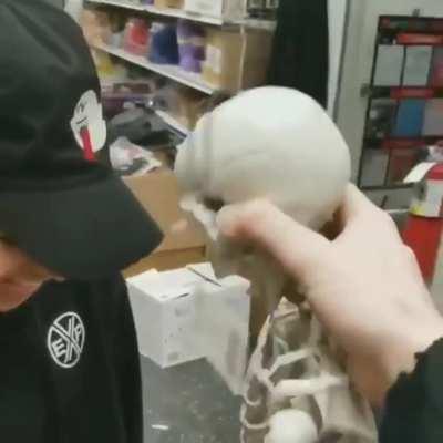 Here you go my fellow skeletons