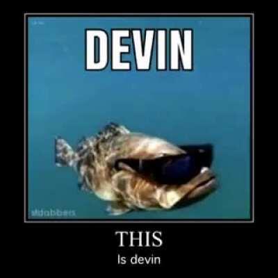 Devin