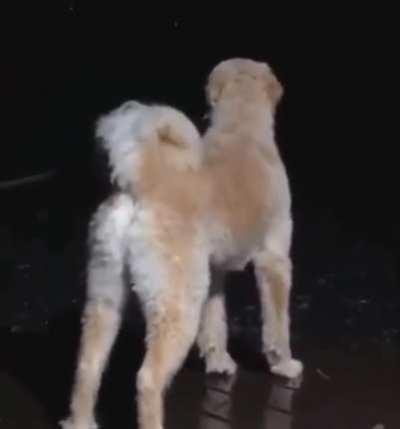 I'm robbing the bank with this mf