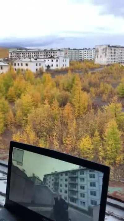 Сталкер в припяти