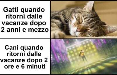 Meme per la Sfida Settimanale / Tema: Animali Domestici (#1)