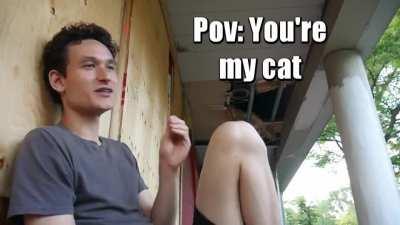 POV: You're my cat
