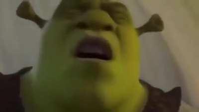 BeelcitosMemes - Video #3551