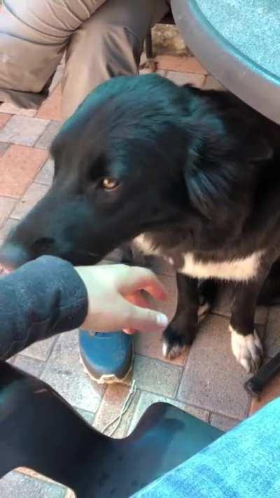 I had met her 5 minutes ago