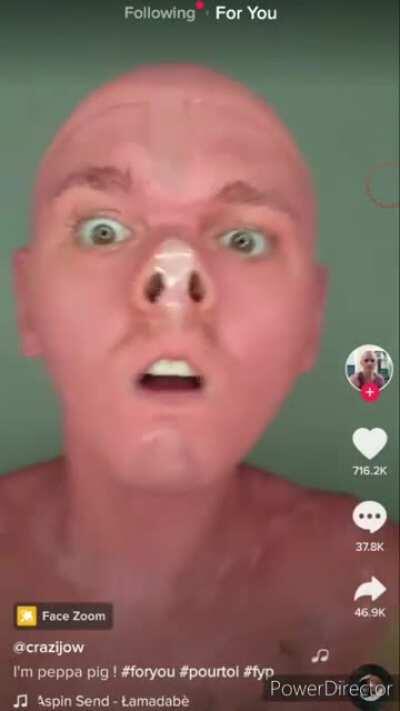 Wtf is this shit? IRLPeppa pig?