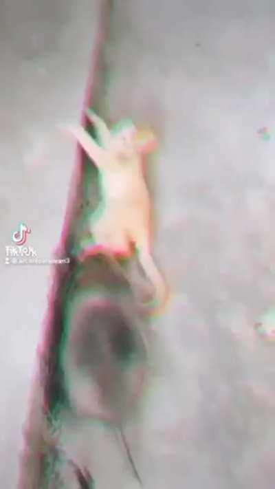 Uns perdem outros ganham.