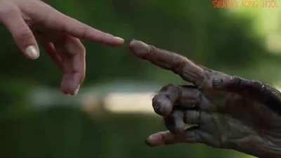 ❗️🧠 The Infinite GME Paradox 🦍❗️ - A Hype Video Like Never Before, this is Our Story Apes 💎🙌🏼🚀🚀🚀