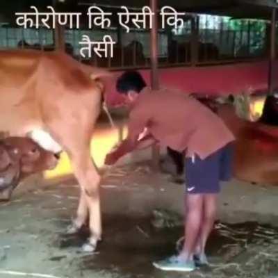 Yeah. I'll take a space shuttle please