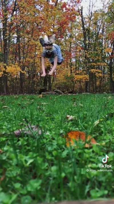 She has four tails ... what and why?